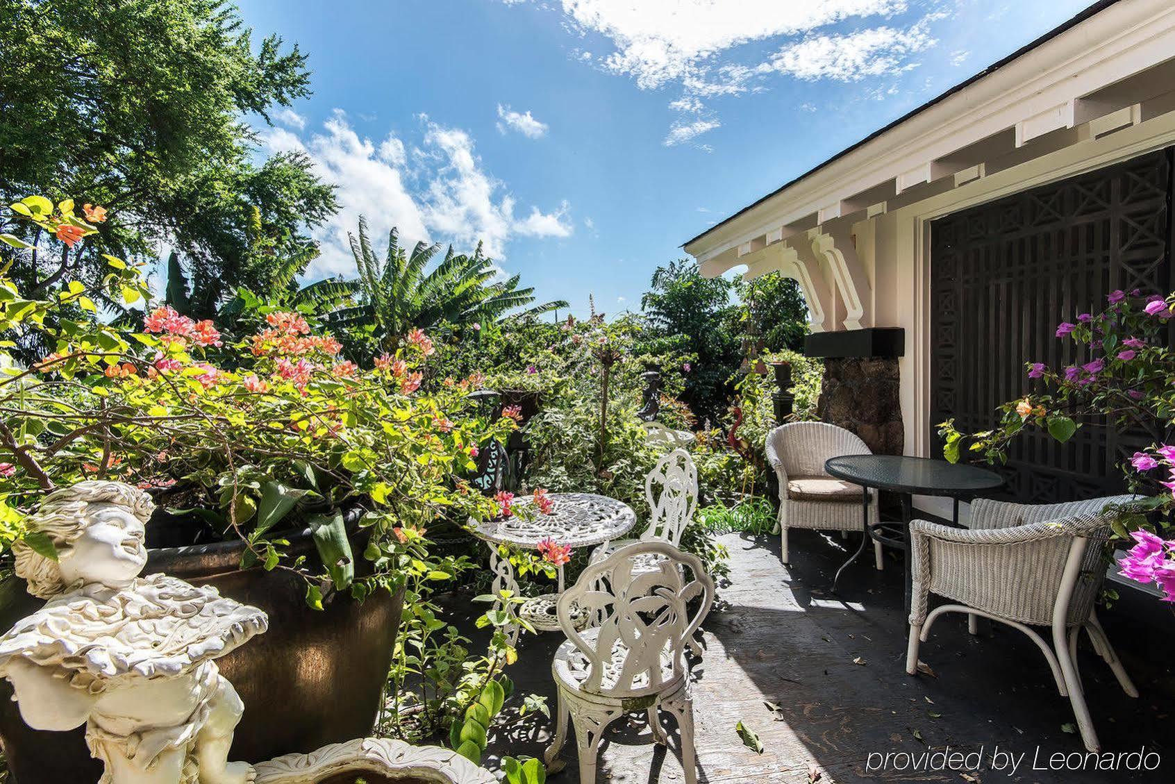 Manoa Valley Inn Honolulu Eksteriør billede